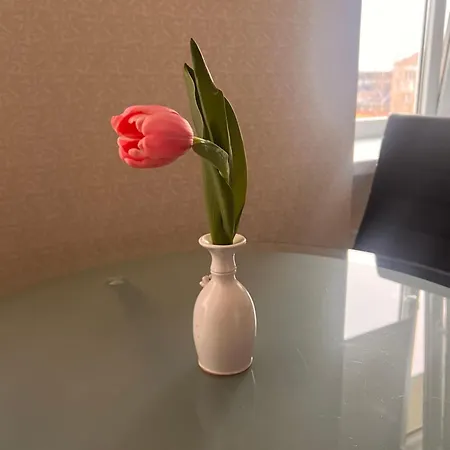 Apartment R Un S *